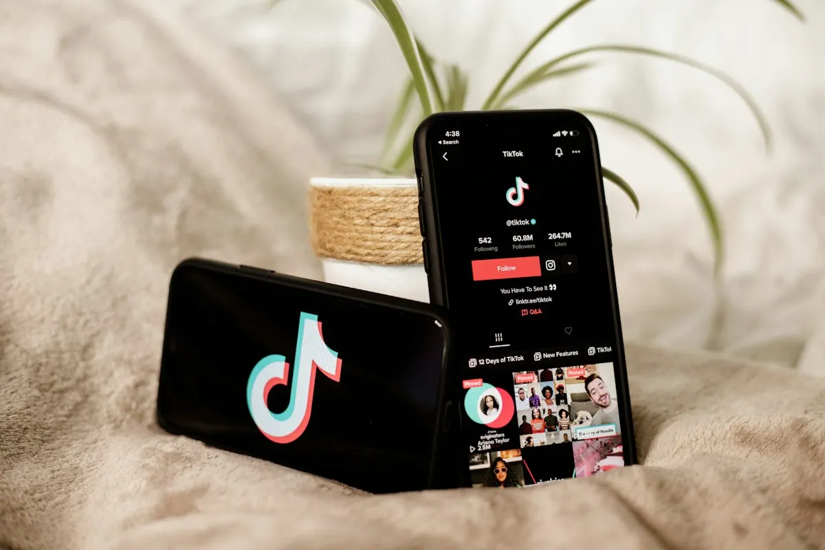 Como ganhar dinheiro com tiktok ads?